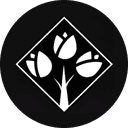 Rose Homes Investment